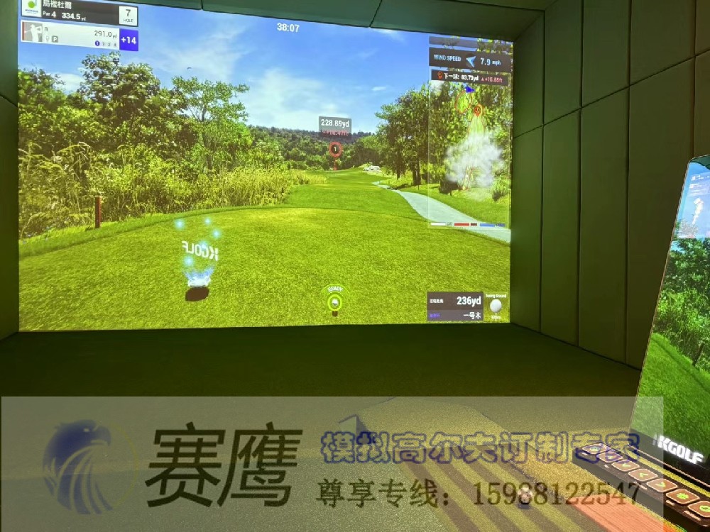超清4K逼真画面--KGOLF卓悦心品